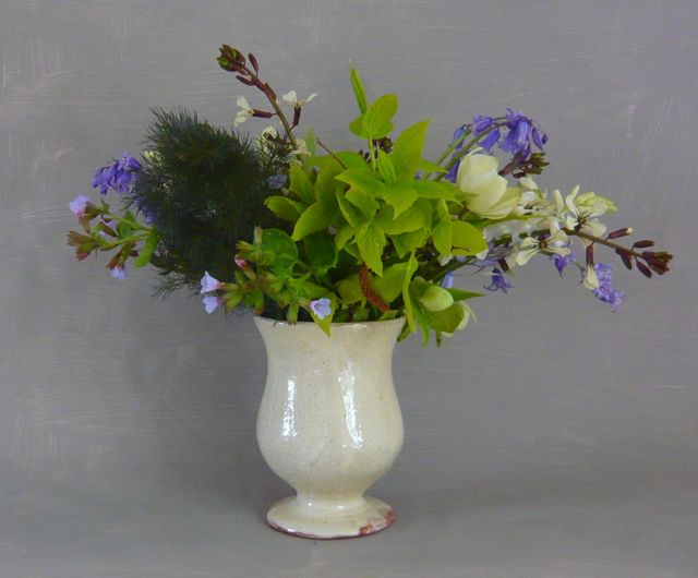 creamgobletspringflowers