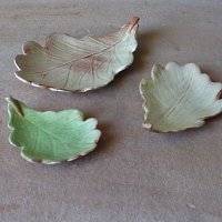 leafdishesoak