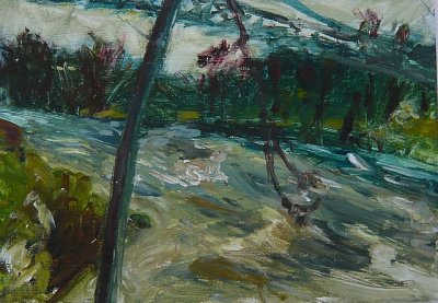 River Wye in spate