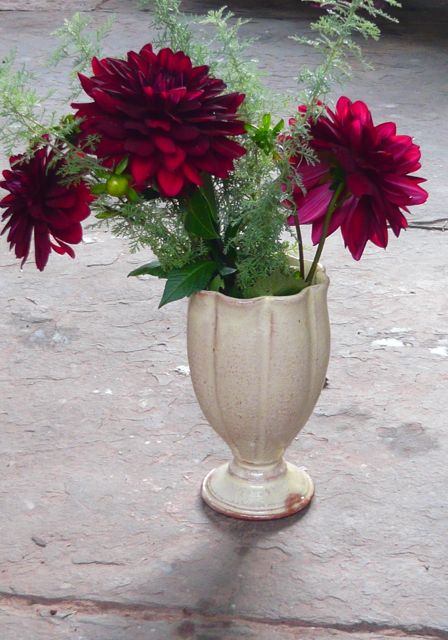 whitegobletdarkdahlias